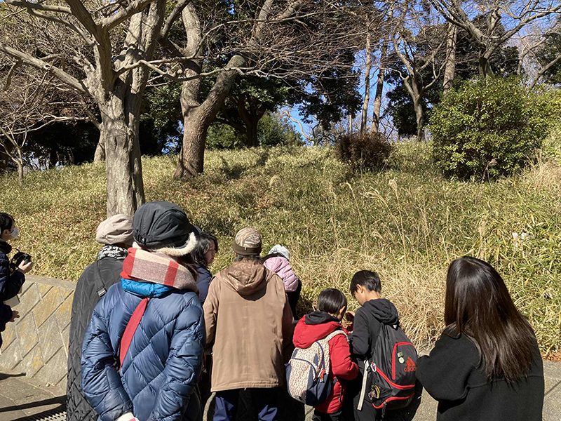 観察会の様子