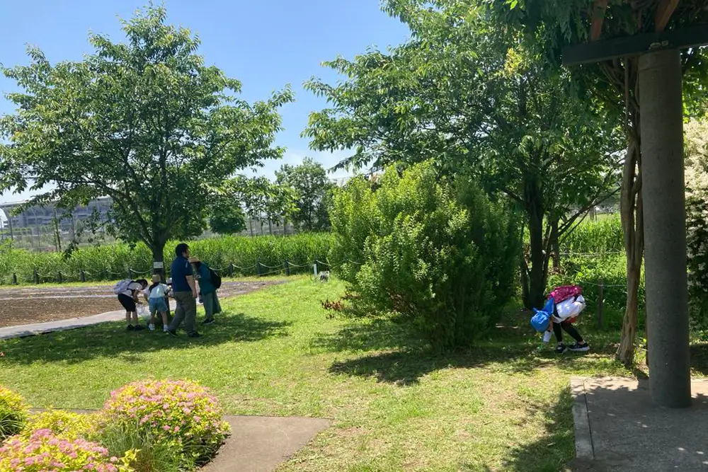 新横浜公園での自然観察会